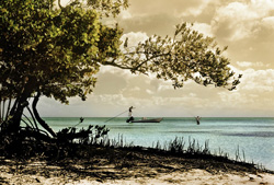 'Flats Fever - It's Catching' in the Florida Keys backcountry.